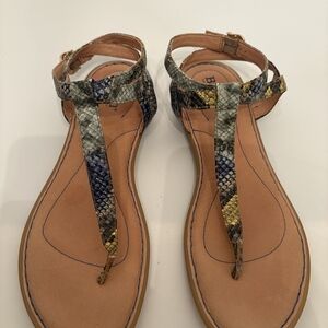 Born Multicolor Snakeskin Sandals Size 9